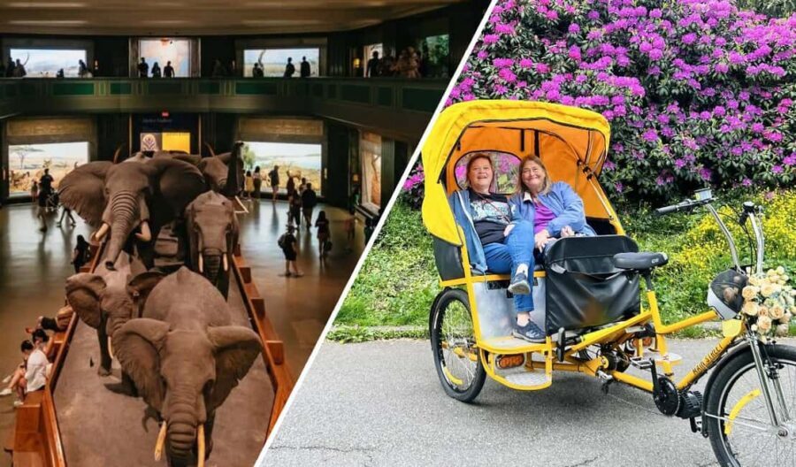NYC: Central Park Pedicab Tour and Natural History Access - Key things you’ll appreciate on this Central Park pedicab ride