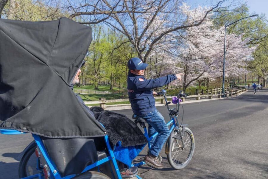 NYC: Central Park Pedicab Tour and Natural History Access - The first ride-in story: Central Park design, history, and what to look for