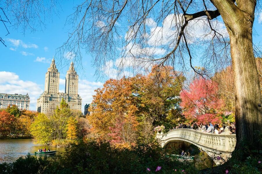 NYC: Central Park Pedicab Tour with Photo Stops - What the guide experience feels like in real life