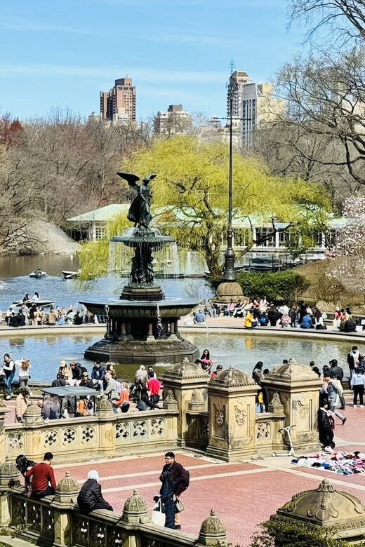 NYC: Central Park Rickshaw Tour / Private and Guided - When Belvedere Castle Doesn’t Happen
