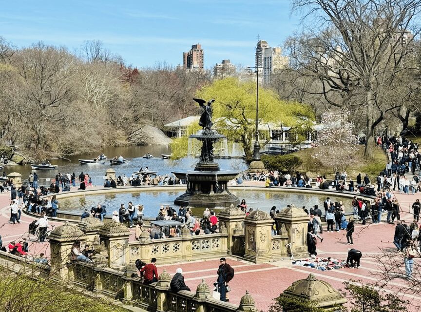 NYC: Central Park Rickshaw Tour / Private and Guided - The Photography Part: How It Changes the Value of the Tour