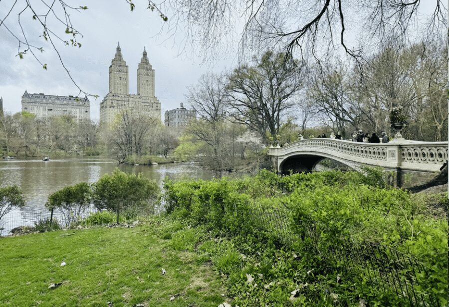NYC: Central Park Rickshaw Tour / Private and Guided - The Real Itinerary Rhythm: Ride, Stop, Learn, Repeat