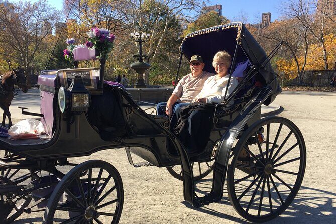 NYC Central Park VIP Horse and Carriage Ride - Where to meet and how the ride gets going (7th Avenue & Central Park South)
