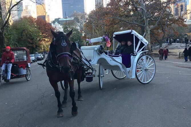 NYC Central Park VIP Horse and Carriage Ride - Bethesda Terrace and Fountain: classic Central Park drama from above
