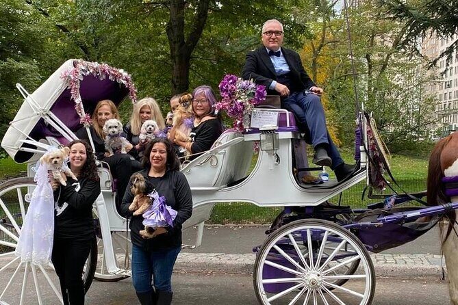 NYC Central Park VIP Horse and Carriage Ride - Columbus Circle and Wollman Rink: where the ride lands for big-city drama
