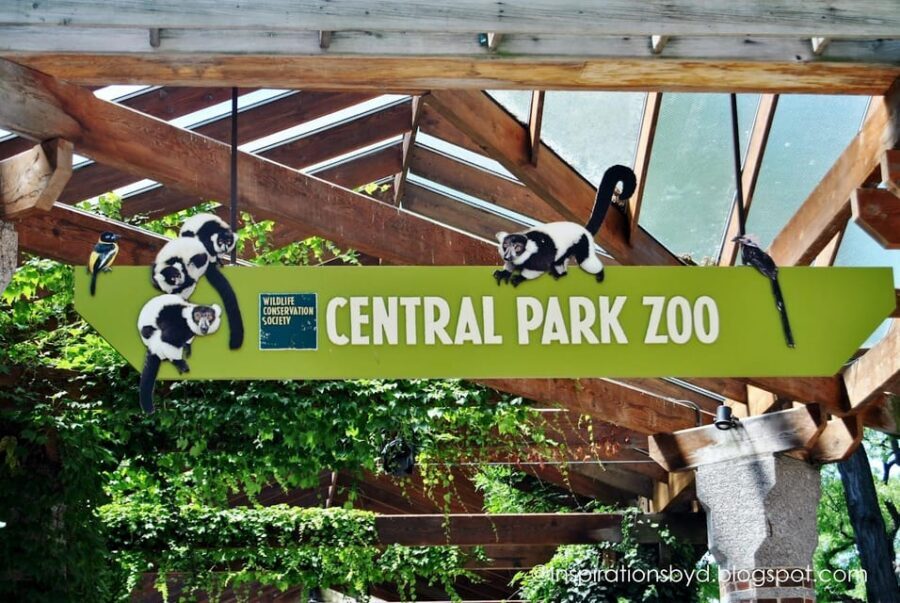 NYC: Central Park Zoo Entry Ticket & Manhattan Walking Tour - FAQ