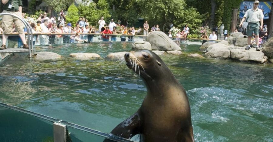 NYC: Central Park Zoo Entry Ticket & Manhattan Walking Tour - Flatiron Building finish, then a quick shift into wildlife mode