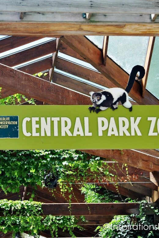 NYC: Central Park Zoo Entry Ticket & Manhattan Walking Tour - Central Park Zoo in 2 hours: snow leopards, sea lions, and the 130+ species pitch