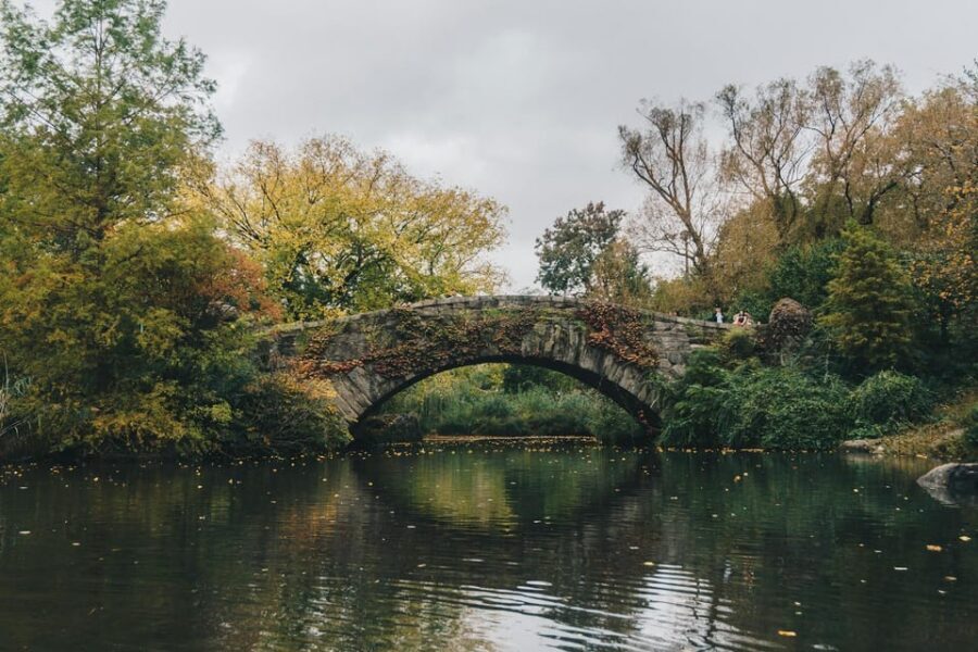 NYC: Elf & Home Alone 2 Locations Central Park Pedicab Tour - Key Highlights You’ll Actually Care About