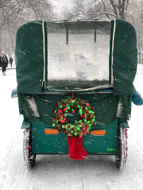 NYC: Elf & Home Alone 2 Locations Central Park Pedicab Tour - Pinebank Arch: Quick Sightseeing Glimpse