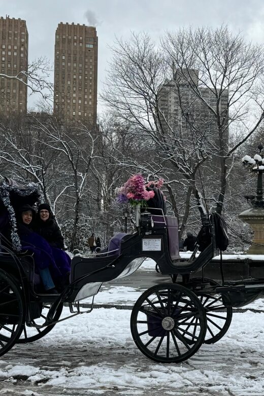 NYC Empire State Horse Carriage Ride in Central Park(45mins) - Photo Stops: How to Get Images You’ll Actually Keep