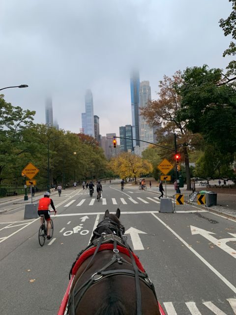 NYC Empire State Horse Carriage Ride in Central Park(45mins) - The Horses, the Drivers, and the Winter Comfort