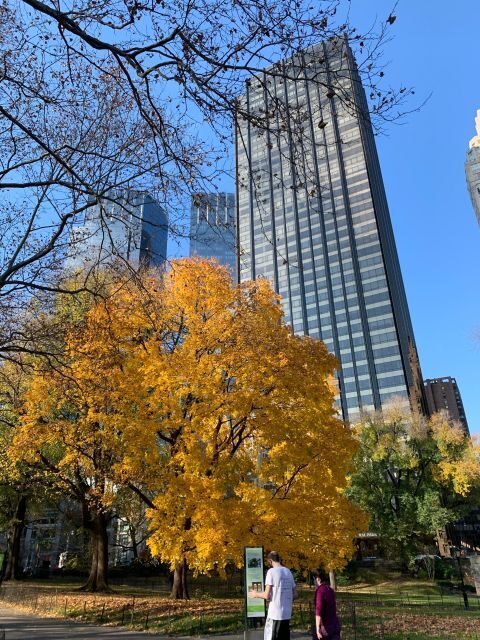 NYC Empire State Horse Carriage Ride in Central Park(45mins) - Who This Tour Is For (and Who Might Want a Different Plan)