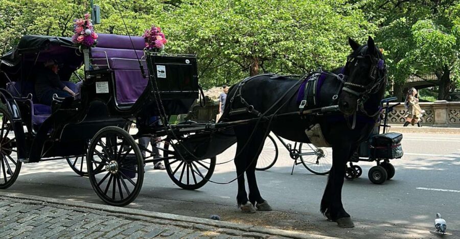 NYC Empire State Horse Carriage Ride in Central Park(45mins) - FAQ
