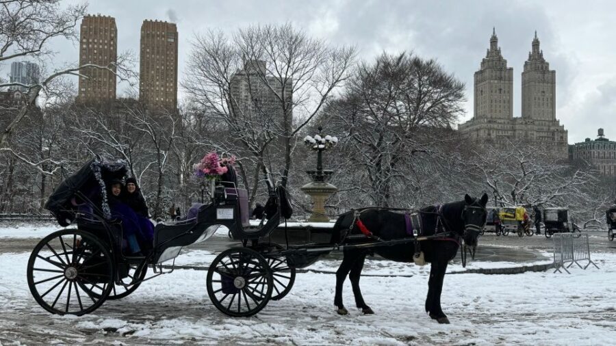 NYC Empire State Horse Carriage Ride in Central Park(45mins) - Where to Meet: Finding Your Carriage at 7th Ave & 59th