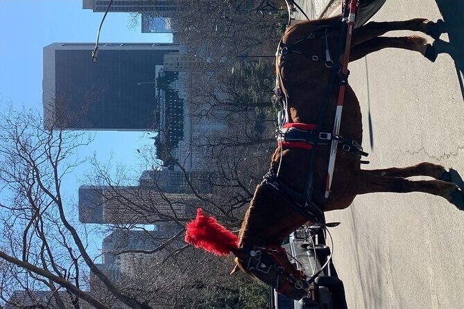 NYC Empire State Horses Carriage Ride in Central Park (45 Mins) - Key things that make this Central Park carriage ride worth your time