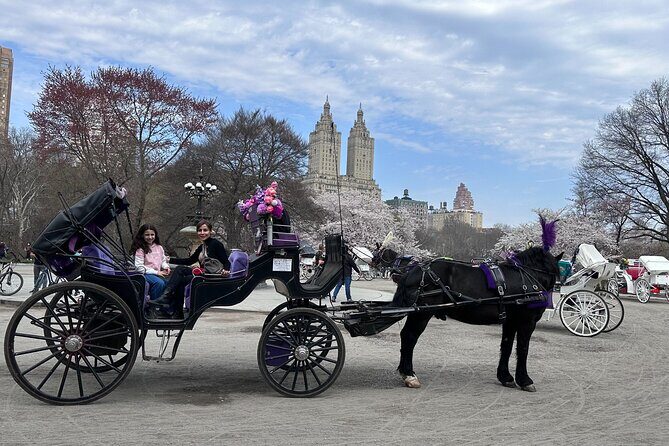 NYC Empire State Horses Carriage Ride in Central Park (45 Mins) - Your guide’s job: history, landmarks, and photo stops that actually happen
