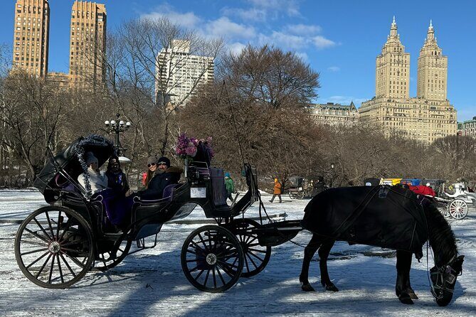 NYC Empire State Horses Carriage Ride in Central Park (45 Mins) - From Wollman Rink to the Carousel: classic Central Park sights in quick succession