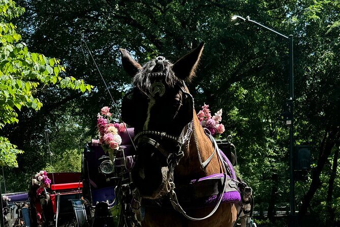 NYC Empire State Horses Carriage Ride in Central Park (45 Mins) - Loeb Boathouse and Bethesda Fountain: big landmarks, big payoff