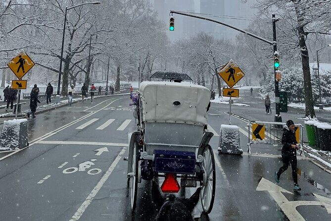 NYC Empire State Horses Carriage Ride in Central Park (45 Mins) - Sheep Meadow and the calm middle of the park