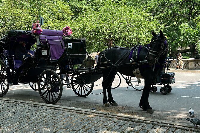 NYC Empire State Horses Carriage Ride in Central Park (45 Mins) - Meeting at the New York Athletic Club: get oriented before you mount up