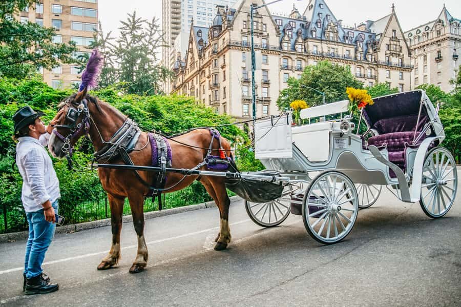 NYC: Guided Central Park Horse Carriage Ride - Key things to notice before you book
