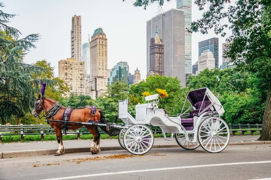 NYC: Guided Central Park Horse Carriage Ride - Why a Central Park carriage ride is still a smart NYC move