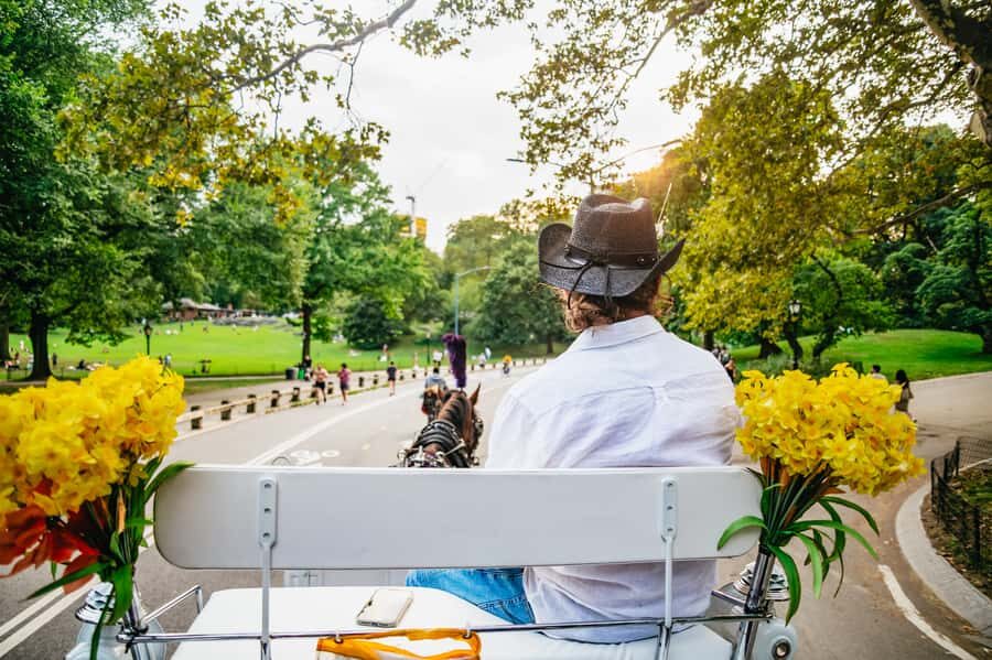 NYC: Guided Central Park Horse Carriage Ride - Bethesda Fountain and Cherry Hill: the photo stops that make people remember the ride