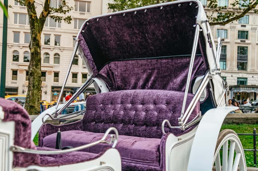 NYC: Guided Central Park Horse Carriage Ride - The in-between scenery: Literary Mall, the Lake, Sheep Meadow, and more