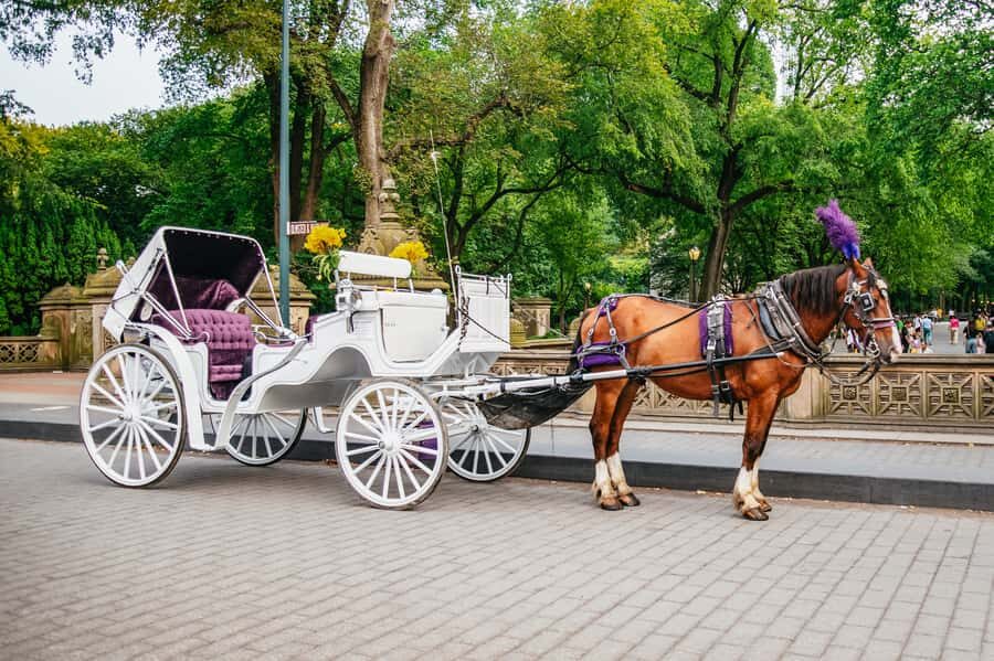 NYC: Guided Central Park Horse Carriage Ride - How the guide narration changes everything (and why names like Atakan and Omer come up)