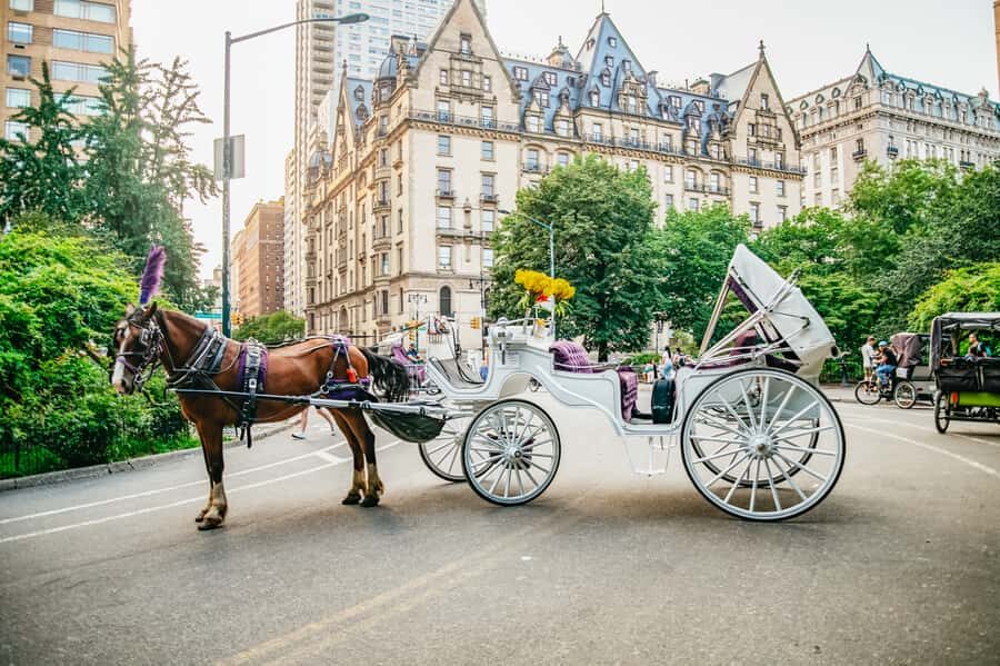 NYC: Guided Central Park Horse Carriage Ride - Price and value: $155 per group up to 4, and where the value comes from