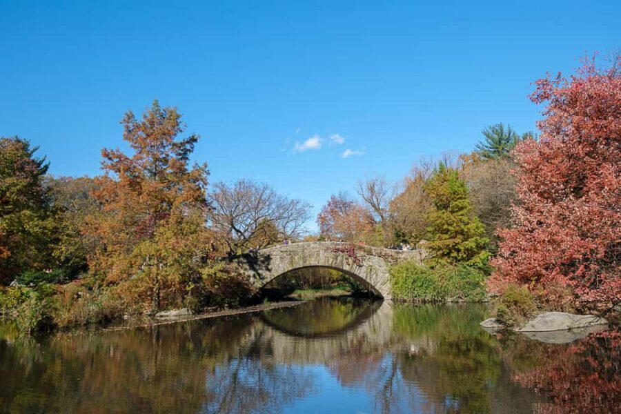 NYC: Guided Central Park Private Pedicab Tour - Should you book Central Park Joy?