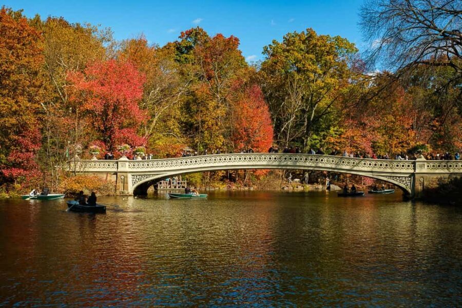 NYC: Guided Central Park Private Pedicab Tour - What you’ll actually see: the Central Park loop, stop by stop