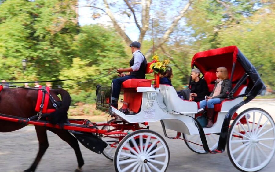 NYC: Guided Standard Central Park Carriage Ride (4 Adults) - 6 key things to know before you ride Central Park’s horse carriage