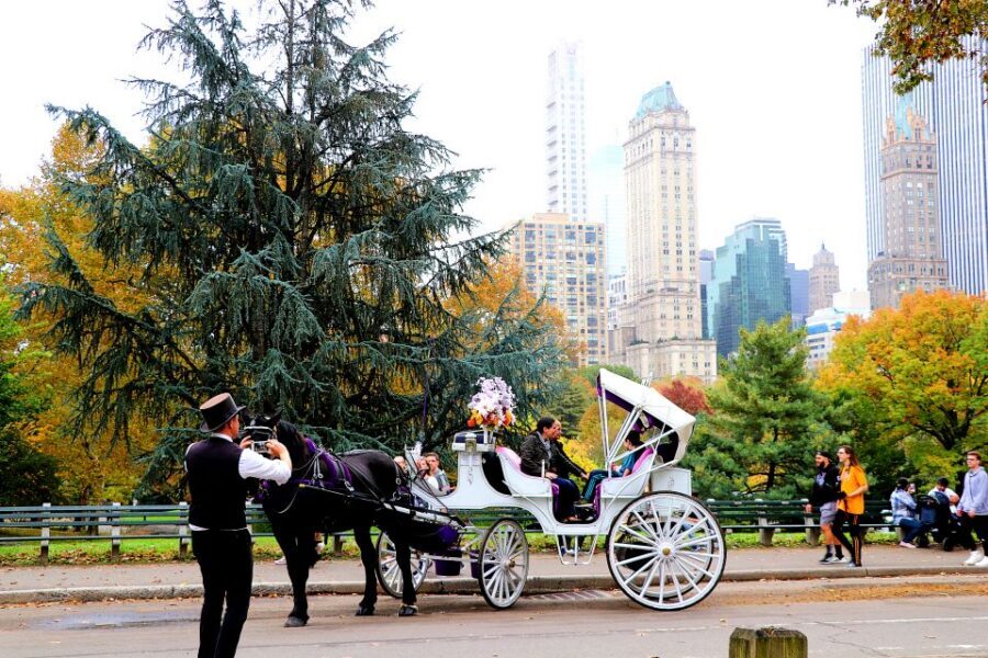 NYC: Guided Standard Central Park Carriage Ride (4 Adults) - Roofs, blankets, and horse treats: small comfort details that add up