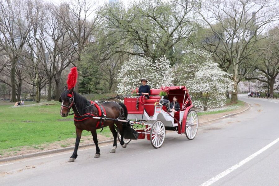 NYC: Guided Standard Central Park Carriage Ride (4 Adults) - Why a Central Park horse-drawn carriage ride feels different than walking