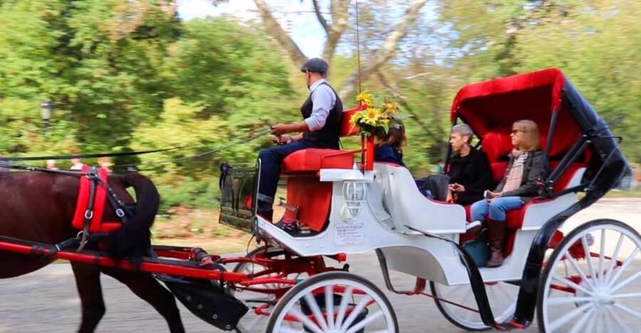 NYC: Guided Standard Central Park Carriage Ride (4 Adults) - 40 minutes, 2.5 miles, and what that pacing really means