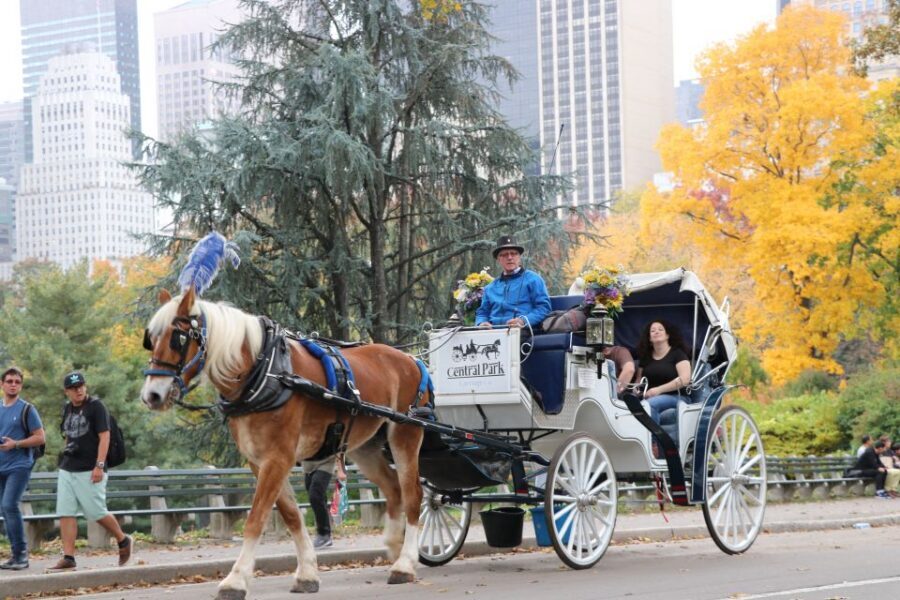 NYC: Guided Standard Central Park Carriage Ride (4 Adults) - West Side scenic drive, Tavern on the Green, and Columbus Circle in the background