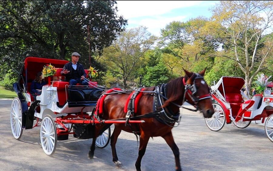 NYC: Guided Standard Central Park Carriage Ride (4 Adults) - Cherry Hill and Friends Fountain: the guided pause that makes the ride feel complete