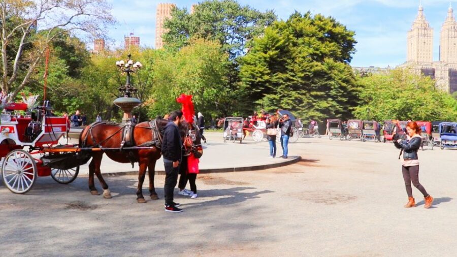 NYC: Guided Standard Central Park Carriage Ride (4 Adults) - Meeting at the José Julián Martí Statue (59th St & 6th Ave) without stress