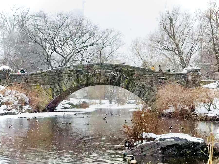NYC: Home Alone 2 & Elf Locations Tour in Central Park Tour - Price and value: is $48 fair for this one-hour ride?