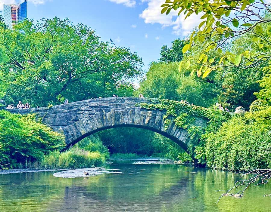 NYC: Home Alone 2 & Elf Locations Tour in Central Park Tour - Who this tour fits best (and who should skip it)