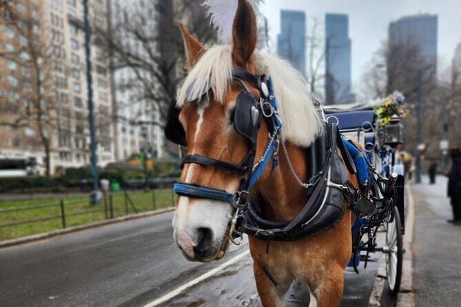 NYC Horse and Carriage Central Park Tours - Key things I’d bank on before you go