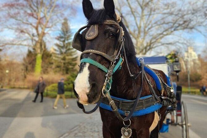 NYC Horse and Carriage Central Park Tours - Hopping on in front of the Ritz-Carlton (and why that start matters)