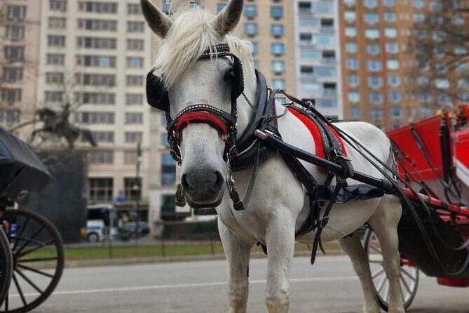 NYC Horse and Carriage Central Park Tours - Photo stops: great when timing is right, trickier on peak days