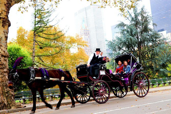 NYC Horse Carriage Ride in Central Park (50 Min. Up to 4 Adults) - Tips to make the ride feel long (even when it isn’t)