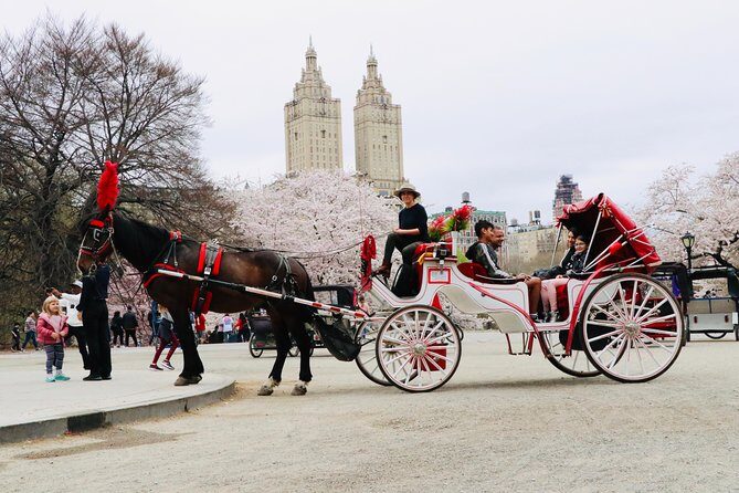 NYC Horse Carriage Ride in Central Park (50 Min. Up to 4 Adults) - Meeting at José Martí Statue: start location and what to expect