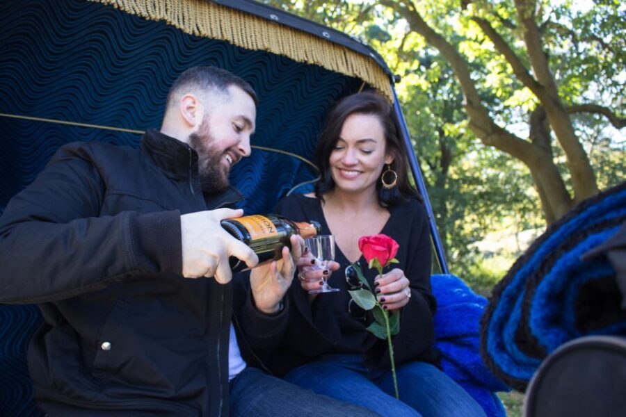 NYC Horse Carriage Ride in Central Park (65 min) - Key highlights worth planning around