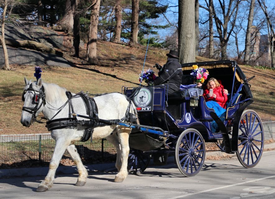 NYC Horse Carriage Ride in Central Park (65 min) - Price and value: is $175 per group worth it?