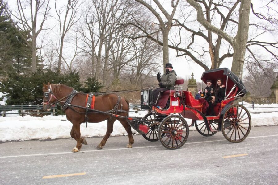 NYC Horse Carriage Ride in Central Park (65 min) - Central Park Horse Carriage Ride Basics (65 minutes, private group, and what you’re really paying for)